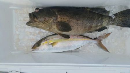 第五慶門丸 釣果