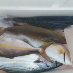 第五慶門丸 釣果