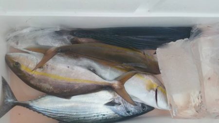 第五慶門丸 釣果