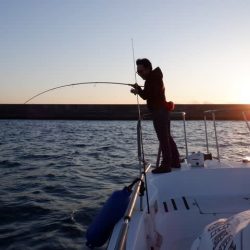 開進丸 釣果