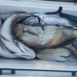 第五慶門丸 釣果