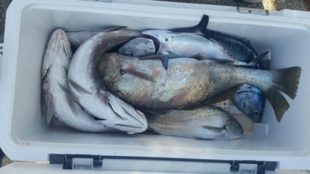 第五慶門丸 釣果