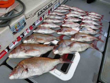 遊漁船 セトマリン 釣果