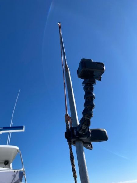 へいみつ丸 釣果