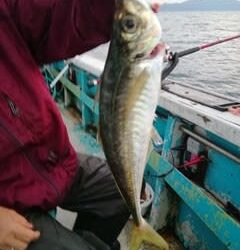 松福丸 釣果