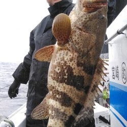 遊漁船 新鋭丸 釣果