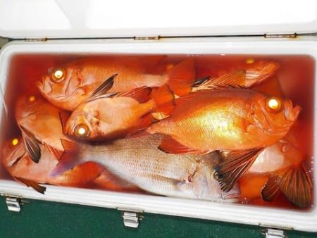 第二むつ漁丸 釣果