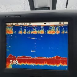 へいみつ丸 釣果