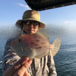 Magic（マジック） 釣果