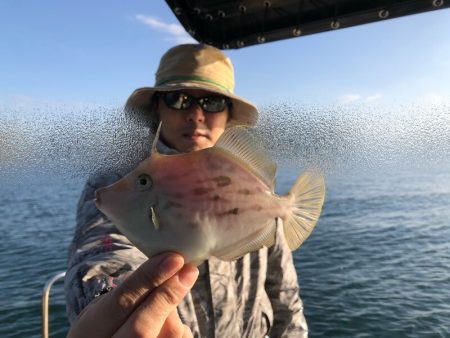 Magic（マジック） 釣果