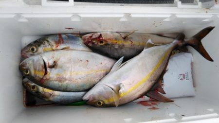 遊漁船 新鋭丸 釣果