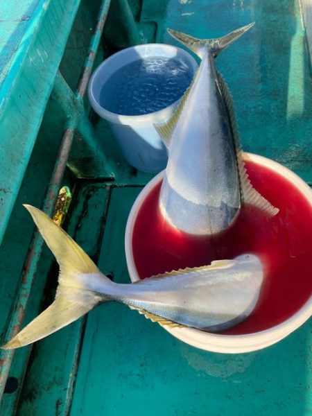 広進丸 釣果