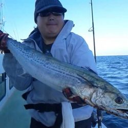 さわ浦丸 釣果