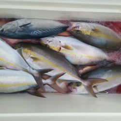 第五慶門丸 釣果