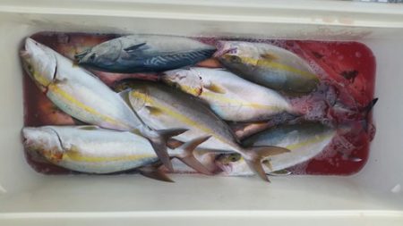 第五慶門丸 釣果