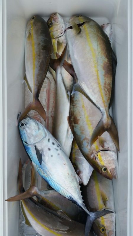 第五慶門丸 釣果