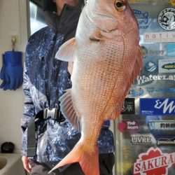 遊漁船 ニライカナイ 釣果