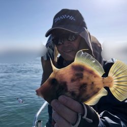 Magic（マジック） 釣果