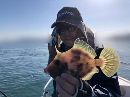 Magic（マジック） 釣果