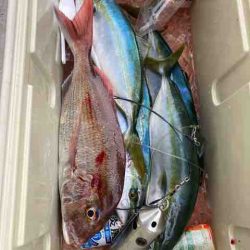 龍宮丸 釣果