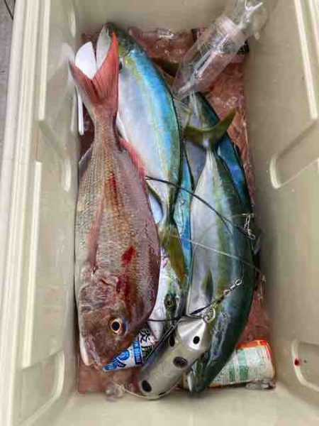 龍宮丸 釣果