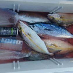 第五慶門丸 釣果