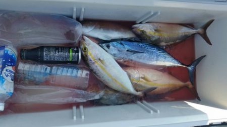 第五慶門丸 釣果