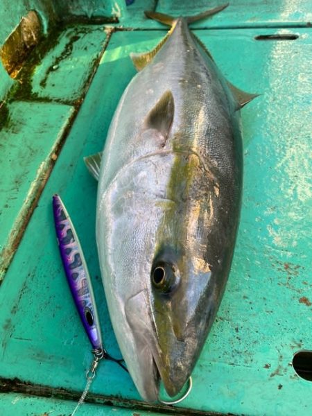 広進丸 釣果