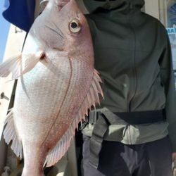 遊漁船 ニライカナイ 釣果