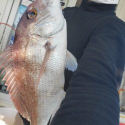 遊漁船 ニライカナイ 釣果