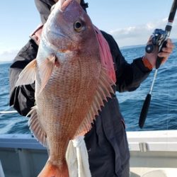遊漁船 ニライカナイ 釣果