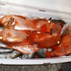 第二むつ漁丸 釣果