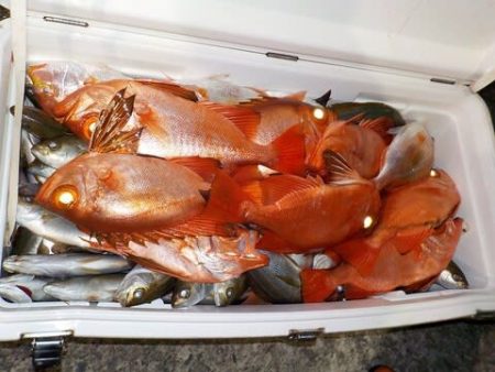 第二むつ漁丸 釣果