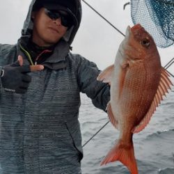 遊漁船 ニライカナイ 釣果