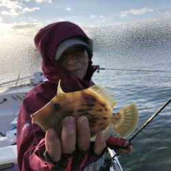 Magic（マジック） 釣果