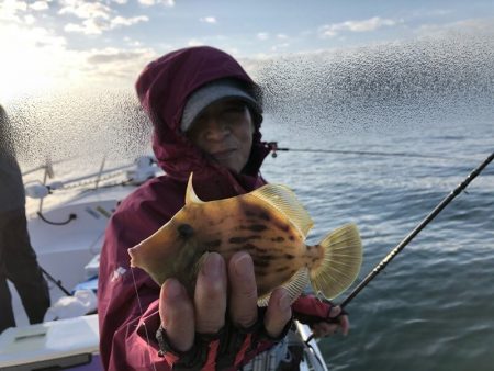 Magic（マジック） 釣果