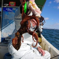 たかみ丸 釣果