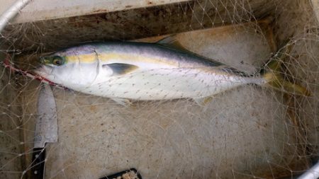 弘福丸 釣果