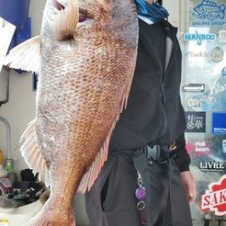 遊漁船　ニライカナイ 釣果