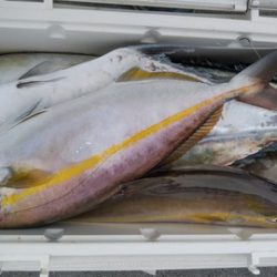 遊漁船 新鋭丸 釣果