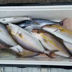 第五慶門丸 釣果