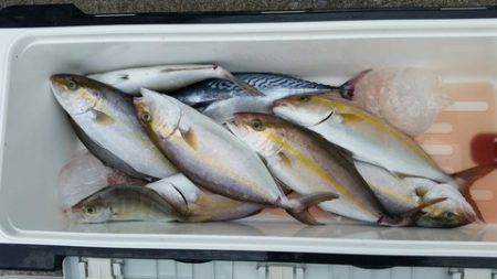 第五慶門丸 釣果