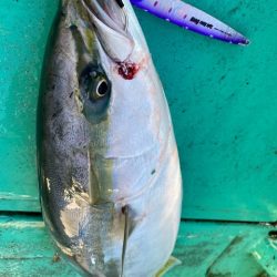 広進丸 釣果