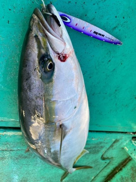 広進丸 釣果