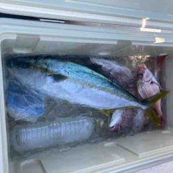 龍宮丸 釣果