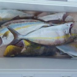 第五慶門丸 釣果