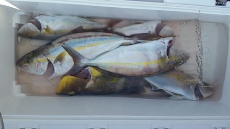 第五慶門丸 釣果