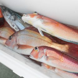 こうゆう丸 釣果