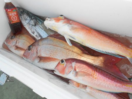 こうゆう丸 釣果