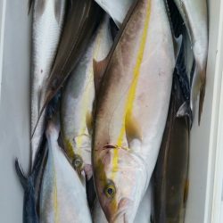 第五慶門丸 釣果